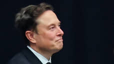 Бета-версия альтернативы «Википедии» от Илона Маска выйдет через две недели