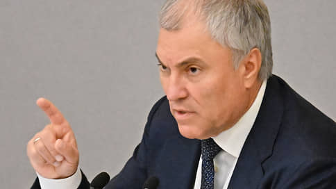 Володин объяснил защитой страны введение наказания за диверсии с 14 лет