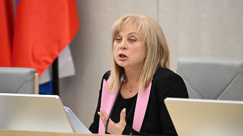 Памфилова призвала запорожский парламент не «разваливать избирательную систему»