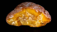 В Калининграде добыли самородок янтаря весом 2,4 кг