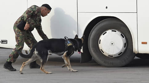 Путин подписал закон об использовании наркотиков при тренировке служебных собак
