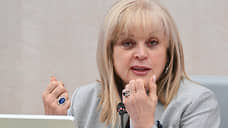 Запорожские депутаты учли позицию ЦИК при принятии закона об избиркомах