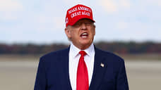 Трамп поручил Пентагону подготовить план действий против исламистов в Нигерии