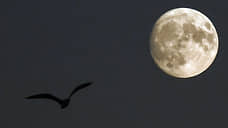 Путин: разработанные для «Буревестника» технологии могут применить для станции на Луне