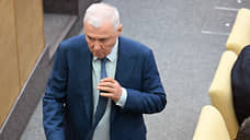 Госдума может до конца года принять закон о разных условиях семейной ипотеки