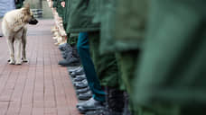 Госдума одобрила в I чтении поправки об автоматических штрафах за езду без ОСАГО