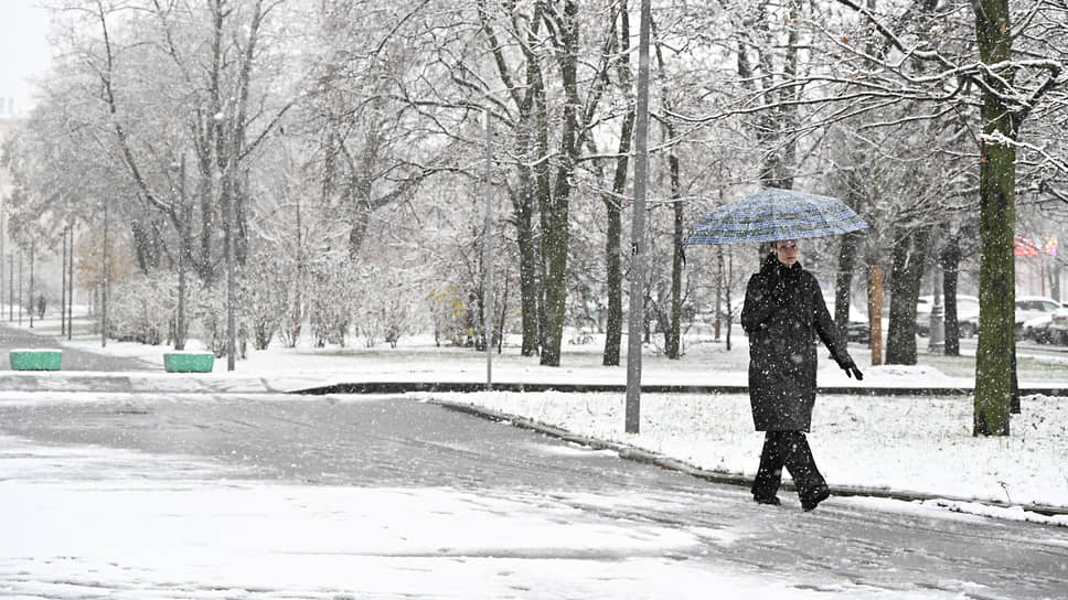 В Москве выпал первый снег