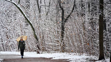 В Москве выпал первый снег