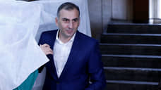 В Грузии оппозиционного политика Элисашвили задержали при попытке поджога суда