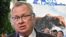 Костин назвал причины укрепления рубля