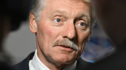 Песков: Кремль получает очень много детских обращений из-за блокировки Roblox