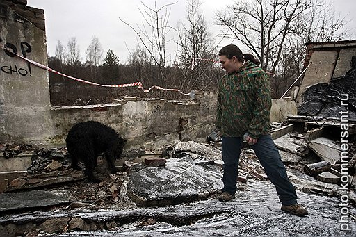 Рэд, Зайка и Несси ищут на завалах «пострадавших»