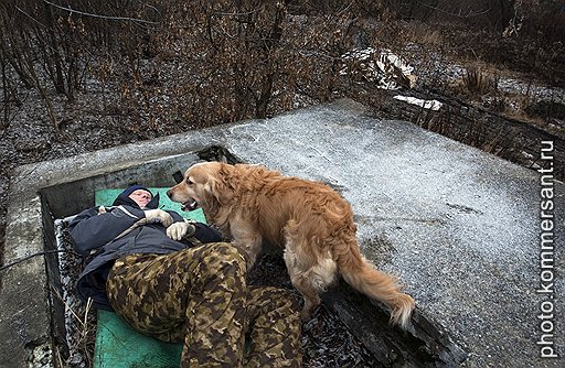 Голден ретривер Тони нашел статиста