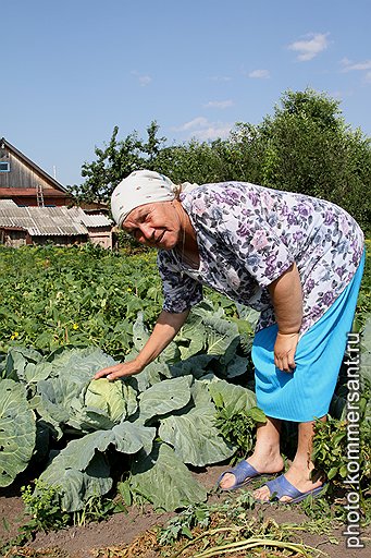 &quot;Бурановские бабушки&quot; не мыслят жизни без огорода