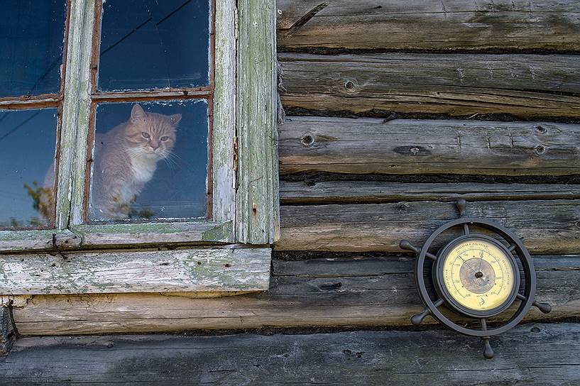 Жители Сумского уже привыкли рассчитывать только на собственные силы. «Что делать, стараемся не болеть», — пожимают плечами местные