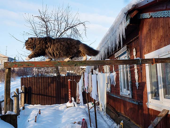 Утро в Старице