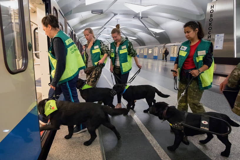 Кинологи во время тренировки собак-проводников для слепых на станции «Новокосино» Калининской линии