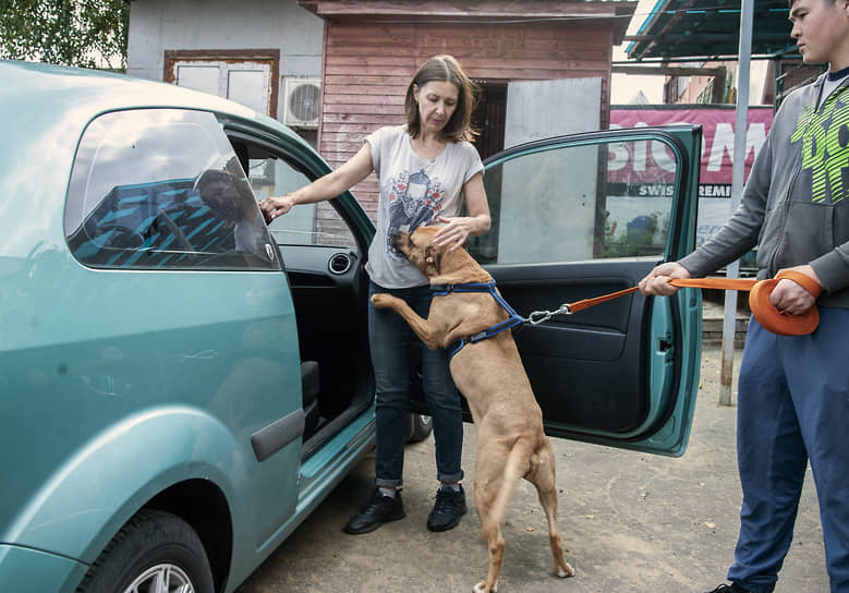 Когда собаку забирают домой, кинолог помогает наладить с ней контакт