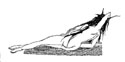 Рисунок 3