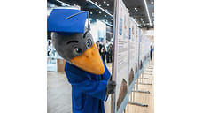 Коучи перешли в штат