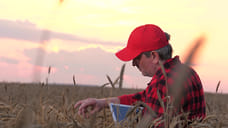 В агросекторе растет спрос на ИТ-специалистов и цифровые профессии