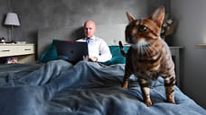 Узкая высокооплачиваемая ниша