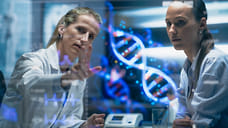 Обнаружены новые гены, влияющие на развитие зависимостей