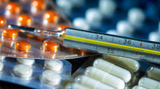 Число заболевших гриппом в России за неделю выросло вдвое