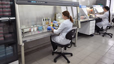 Центр «Вектор» обнаружил более 60 новых вирусов