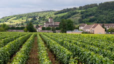 Инвестиции в вине