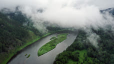 АСИ предложило заменить ESG единым стандартом для оценки вклада бизнеса