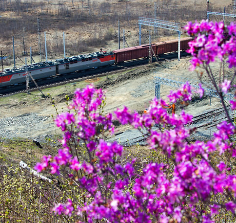 Цепочки устойчивых поставок стали прозрачнее