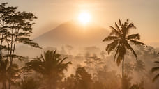 Новый фонд направит $100 млн на защиту тропиков и климатическую адаптацию