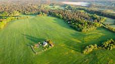 Торг и государство