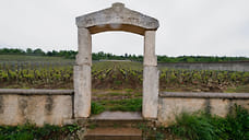 Шардоне как инвестиция