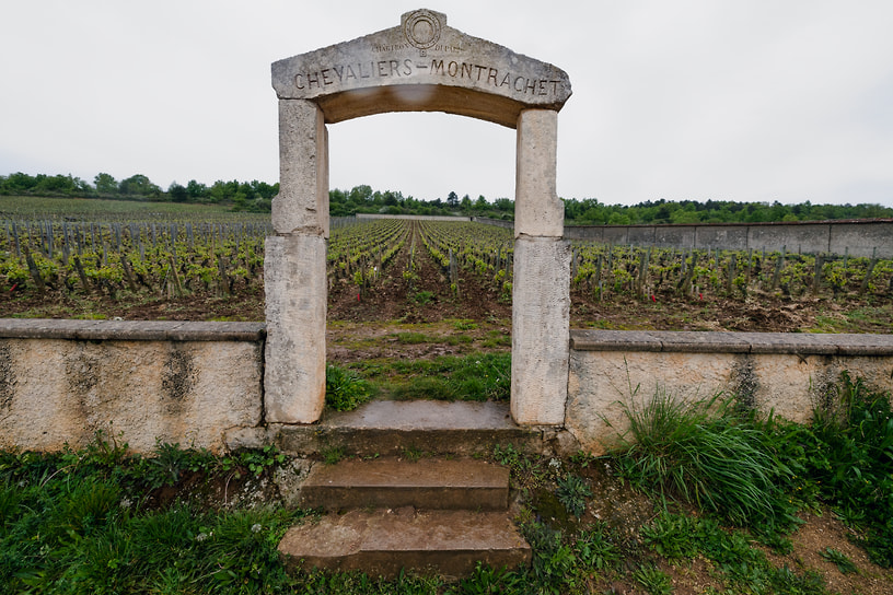 Виноградник Chassagne-Montrachet