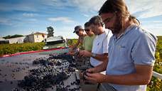 Дауншифтинг для винодела