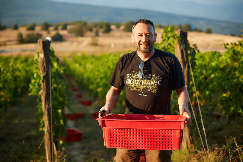 Винодел Павел Швец, UPPA Winery