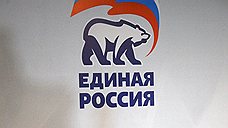 "Это жест отчаяния "Единой России", единственный способ привлечь к себе внимание"