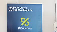 "Лучше не увеличивать суммы микрозаймов, а стимулировать организации вести прозрачную деятельность"