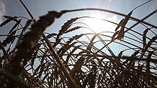 «Запуск биржевой торговли зерном давно назрел»