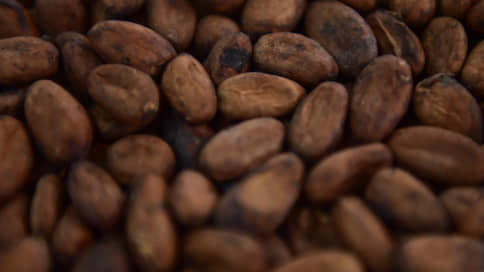 Какао-бобы пошли в рост // Как преодоление дефицита сырья скажется на рынке