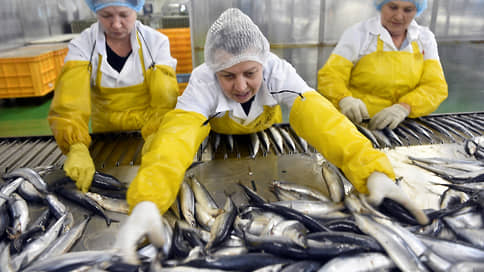 Российская рыба поплывет мимо заграницы // Как новые ограничения скажутся на профильных рынках Европы и РФ