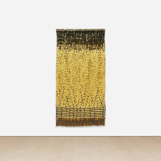 Ольга де Амараль, Imagen perdida 27, 1996