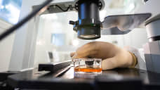 «27% участников эксперимента продолжили вызывать пиратский корабль»