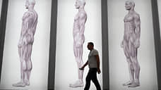 «Организм сам разделяет зоны боли и ее контроля по "географии"»