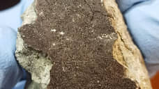 Метеорит «разлетелся» по рунету