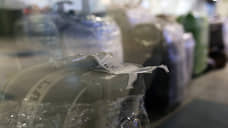 Багаж доберется сам