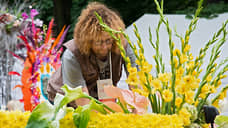 Москвичи установили карьерное равенство