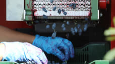 Урожаю грозит «тепловой удар»